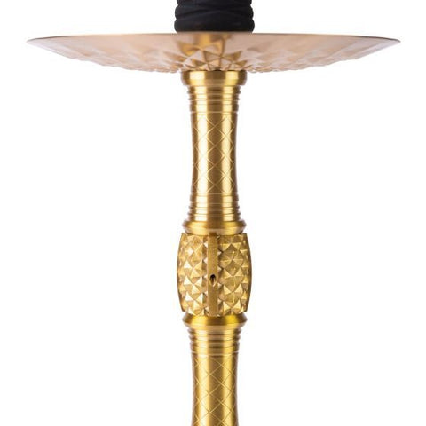 AMY DELUXE 129.01 ZODIAC SCHWARZ / GOLD - TRANSPARENT / GOLD